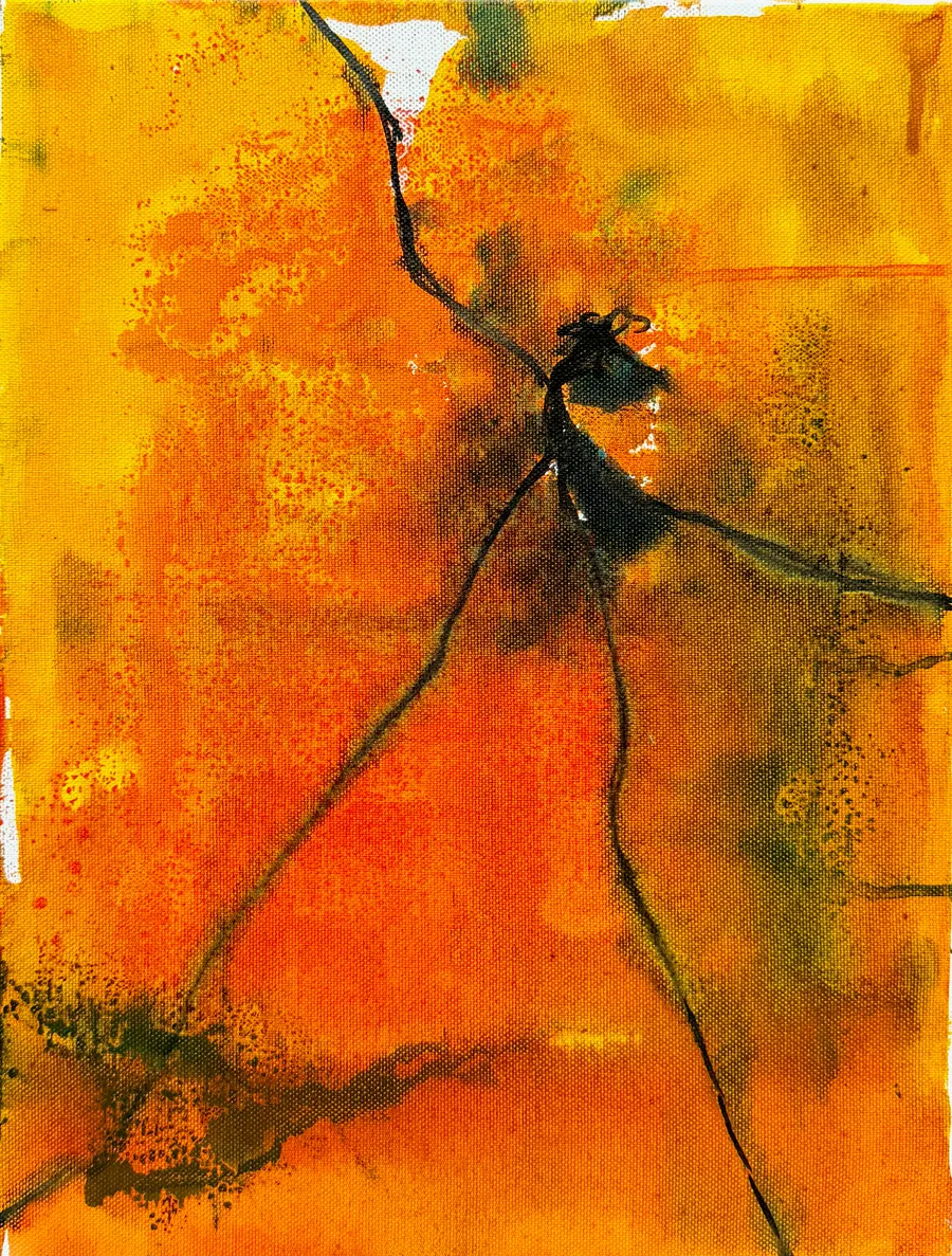 Lago #8, Tusche auf Leinwand, 40 x 60 Zentimeter